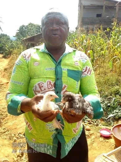 Biologische Tierhaltung